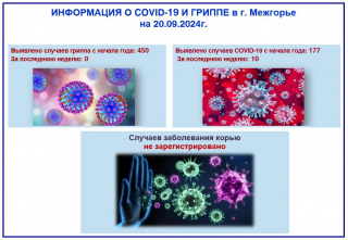  ИНФОРМАЦИЯ О COVID-19 И ГРИППЕ в г. Межгорье на 20.09.2024г.