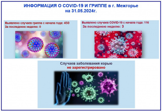 ИНФОРМАЦИЯ О COVID-19 И ГРИППЕ в г. Межгорье на 31.05.2024г.