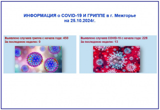 ИНФОРМАЦИЯ О COVID-19 И ГРИППЕ в г. Межгорье на 25.10.2024г.